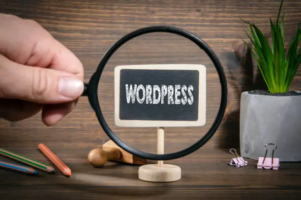 WordPress: Platform Populer untuk Membangun Website, Memulai Blog, dan Menjual Barang